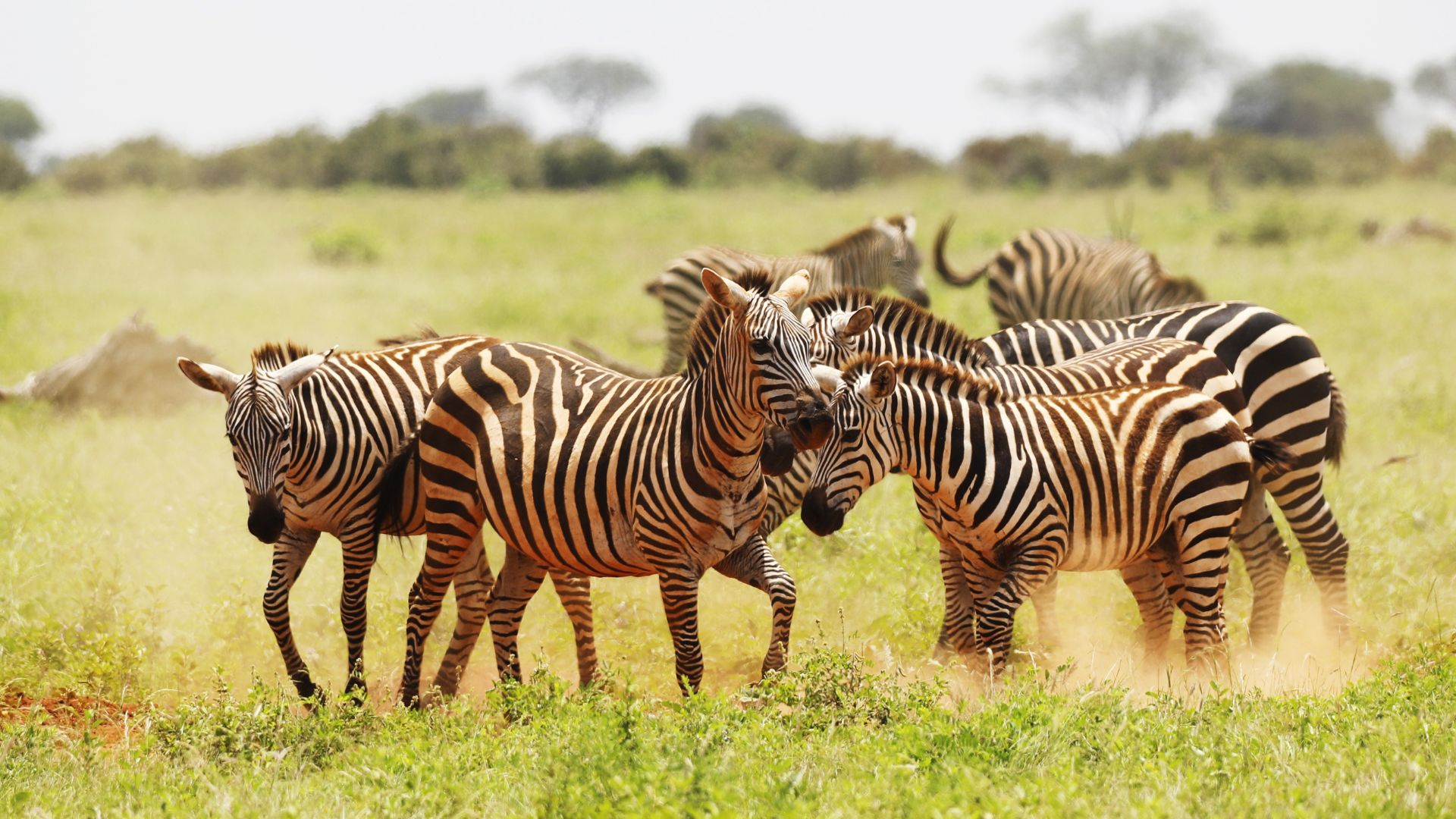 Kenya
