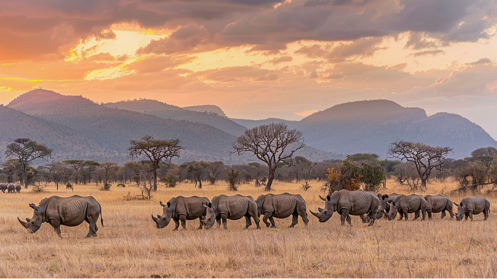 Uganda